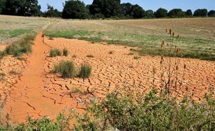 Un ruisseau à sec dans la Sarthe (image d'illustration).