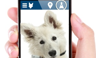 Ce collier GPS intègre une carte SIM et permet de géolocaliser son animal préféré à tout moment depuis un smartphone.