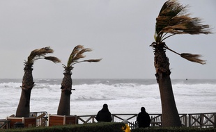 La tempête Ciara a provoqué la mort d'au moins sept personnes et de nombreux blessés.