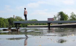 Dans le quartier de Baud-Chardonnet, à Rennes, des plages ont été aménagées le long de la Vilaine. Mais seuls les canards osent s'y baigner.