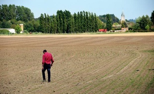 Déjà marquée par un printemps historiquement sec en 2011, la France manque de nouveau d'eau en raison de pluies largement déficitaires cet hiver et les sols affichent un taux d'humidité comparable à une fin avril voire, dans le sud du pays, à un mois de mai habituel