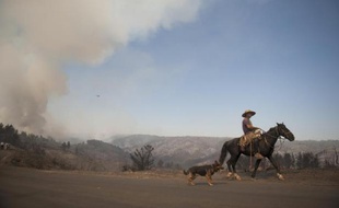 Un cowboy chilien se réfugie chez lui pour échapper au feu près de Valparaiso, le 14 mars 2015