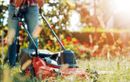 Marre de pousser votre vieille tondeuse ? Le modèle Ecloz 20 V passe à 159,20 € chez Jardiland, une occasion à saisir !