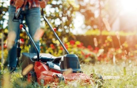 Marre de pousser votre vieille tondeuse ? Le modèle Ecloz 20 V passe à 159,20 € chez Jardiland, une occasion à saisir !