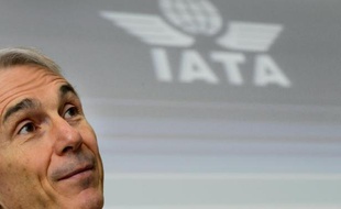 La prévision de bénéfice des compagnies aériennes a été révisée en baisse de 8% pour cette année mais celle publiée lundi pour l'an prochain par l'Association internationale des transporteurs aériens (IATA) laisse entrevoir un bon cru 2014.
