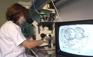 Un technicienne du service de biologie de la reproduction de l'Hôpital de la Conception à Marseille observe au microscope, le 4 décembre 2000, la division cellulaire d'un embryon au cours d'un programme de procréation médicale assistée.