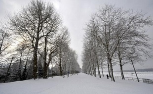 Trente-six départements ont été placés lundi en vigilance orange pour faire face au "premier épisode neigeux notable de l'hiver", qui a commencé à toucher en matinée l'ouest de la France, avec des chutes de neige pouvant aller jusqu'à quinze centimètre dans certains endroits