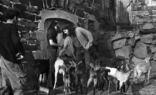 Pierre Conty, le «tueur de l'Ardèche» au milieu des chèvres dans une ferme de l'Ardèche, en 1971.