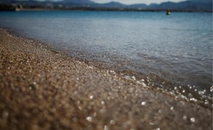 Une grande campagne d'observation scientifique sera lancée pendant dix ans.