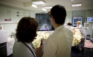 Après l'émotion suscitée par trois décès dans des hôpitaux en quelques jours, pour des motifs très différents, les éditorialistes estiment que la France est malade de son système hospitalier, sans pour autant proposer de remède miracle.