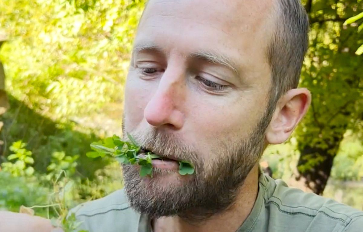 This environmental activist fed on wild plants collected in central New York for a month