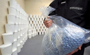 Une importante quantité de cachets destinés à stimuler la virilité masculine contrefaisant les marques Viagra et Cialis et d'autres contenant de la pseudo-éphédrine, un stupéfiant utilisé dans la synthèse des amphétamines, a été saisie sur le port du Havre, ont annoncé mardi les douanes.