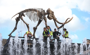 Mammuthus Volantes, oeuvre Jacques Rival exposée dans le cadre de l'évenement culturel L'Industrie Magnifique jusau'au 19 mai sur les places de la ville. Strasbourg le 30 avril 2018.