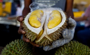 Un durian. Image d'illustration.