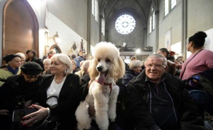 Des paroissiens assistent à une messe avec des animaux le 9 novembre 2014 à l'église Sainte-Rita à Paris