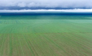 Les champs de soja ne cessent de s'étendre dans les plaines fertiles d'Amérique du sud: la récolte 2013 a battu des records pour répondre à la demande en forte hausse de la Chine et de l'Europe.