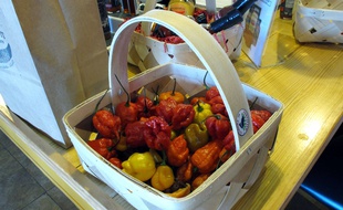 Le Carolina Reaper, le piment le plus fort au monde, peut provoquer des migraines fulgurantes.