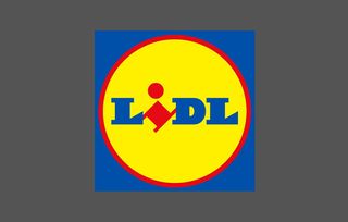 Lidl discount blouson ski