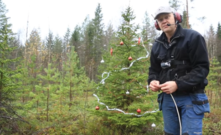 Le "Swedish dynamite" dynamite un arbre de Noel