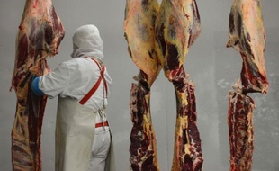 Le scandale européen de la viande de cheval faussement estampillée boeuf dans des plats préparés, s'est étendu jeudi à l'Allemagne avec un premier cas avéré dans des lasagnes surgelées et a pris une dimension sanitaire au vu de tests effectués en Grande-Bretagne.