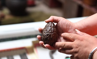 Une grenade (illustration)