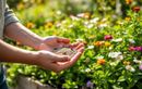 Le secret de l’été pour attirer de précieux insectes au jardin (et booster la biodiversité sans rien dépenser)