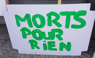 L'association Izards Attitudes organise ce vendredi à Toulouse un rassemblement pour rendre hommage aux jeunes tués cet été dans des règlements de compte.