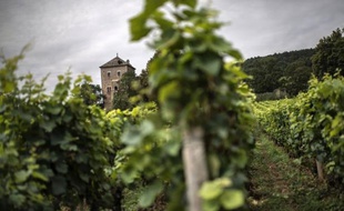 Les riches chinois qui rachètent des vignobles français, comme ils viennent de le faire pour 8 millions d'euros au château de Gevrey-Chambertin (Côte d'Or), sont annonciateurs d'une vague d'achats qui pourrait à l'avenir s'élargir à d'autres crus prestigieux, selon des experts.