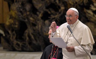 Le pape François, le 14 novembre 2014 au Vatican