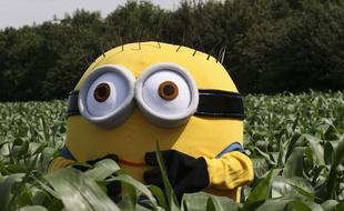 Un Minion géant.