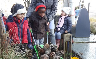 Strasbourg, le 12 decembre 2016: la scolarisation des enfants de moins de 3 ans avec l'ecole du dehors
