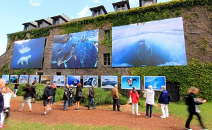 Les images exposées au festival photo de La Gacilly sont tirées en grand format et présentées en extérieur.