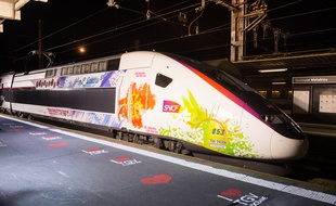 Le nouveau TGV l'Océane en gare Matabiau.