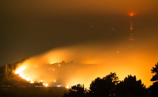 Un millier d'habitants ont dû être évacués de la ville néo-zélandaise de Christchurch en raison de feux de forêt et de broussailles qui ont rasé des logements, ont annoncé jeudi les autorités.