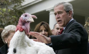 Le président américain George W. Bush gracie la dinde «May» avant Thanksgiving, Washington, le 20 novembre 2007.