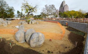 Le chantier du parc zoologique de Vincennes, le 16 octobre 2012.