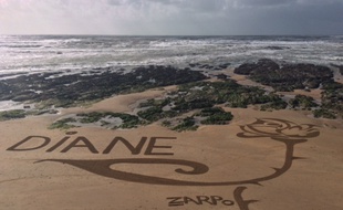 L'artiste réalise des oeuvres, façonnées au râteau, sur la plage de Brétignolles-sur-mer.