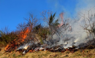Feu de broussailles en Ariège.
