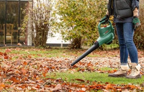 Sans prévenir, Amazon brade le prix de ce souffleur de feuilles Bosch