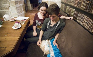 Au Café des chats, à Paris (3e), des clients profitent de leur consommation tout en cajolant l'un des douze chats de l'établissement, le 22 septembre 2013