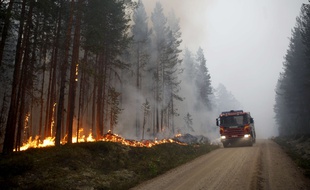 La sécheresse a provoqué un nombre important d'incendies simultanés dans les forêts et sur les terres en Suède et en Laponie