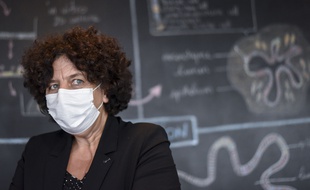 La ministre de l'Enseignement supérieur et de la recherche, Frédérique Vidal, le 22 octobre 2020 à Nantes. (illustration)