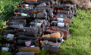 Environ 340 bouteilles remplies d'urine ont été découvertes dans un talus dimanche à Lorient.
