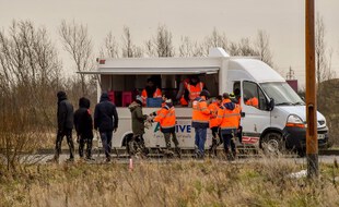 Des migrants font la queue lors d'une distribution de nourriture à Calais.