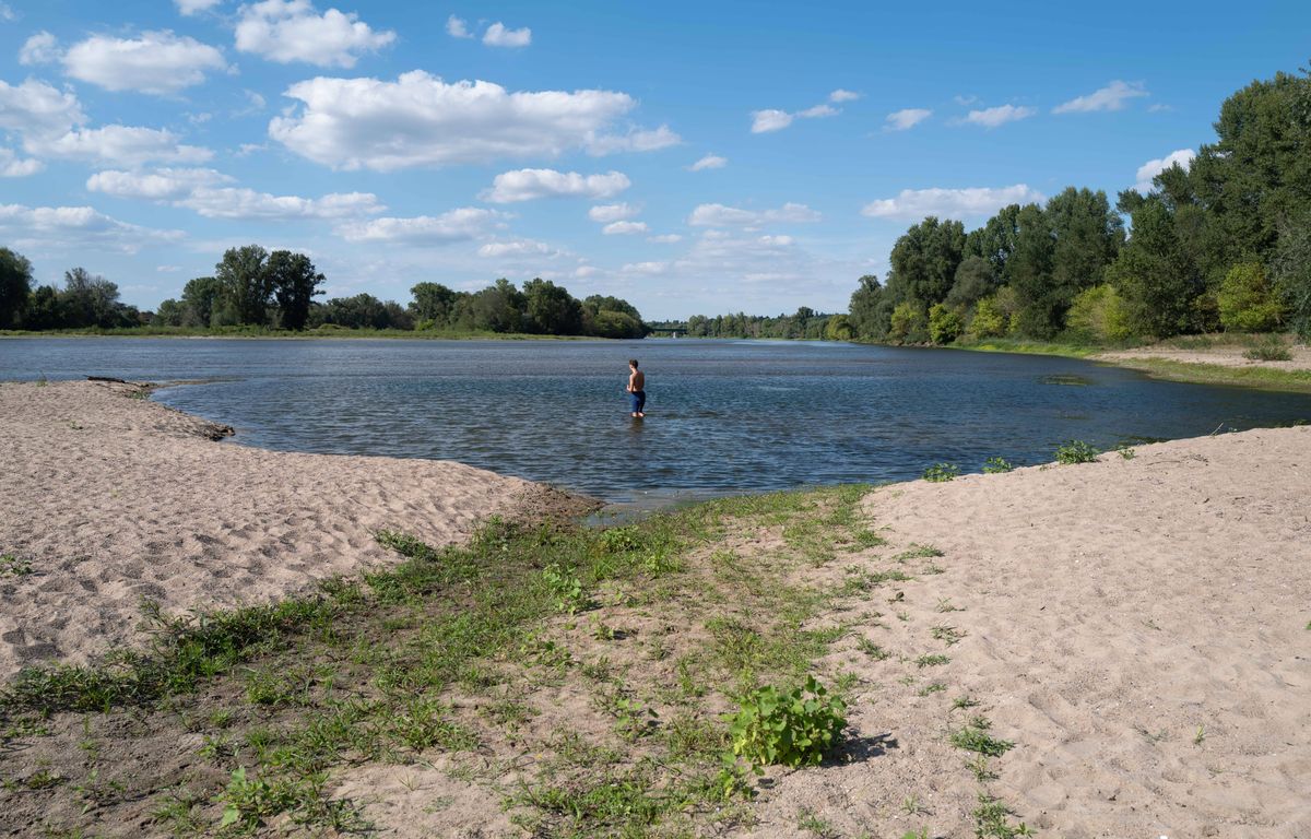 At least 15,000 dead in Europe due to heat waves of 2022, according to WHO