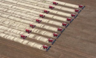 Entré en contrebande au Brésil il y a quinze ans, le soja transgénique est devenu la planche de salut des agriculteurs brésiliens, mais aujourd'hui cinq millions d'entre eux refusent de payer des redevances sur ces semences au groupe américain Monsanto.