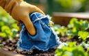 Ce vieux jean troué devient l’arme secrète anti-nuisibles au potager cet été (zéro euro, zéro déchet, effet immédiat)