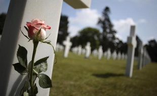 Une rose sur une tombe le 31 mai 2014 au cimetière de Colleville