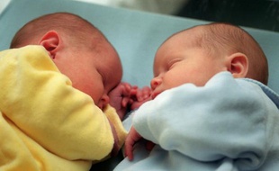 Le taux de naissances de jumeaux a presque doublé dans les pays développés en quarante ans