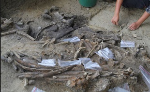 Une équipe de préhistoriens viennent de mettre à jour des traces d'activités humaines vieilles de 709.000 ans sur l'île de Luzon, la principale de l'archipel des Philippines.